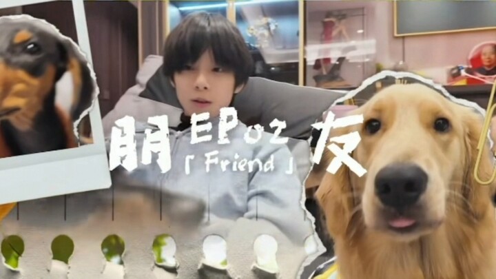 [Chen Sihan] Sihan’s Little Daily Life 17.0 | “Today, a friend came over to play with the dogs at ho