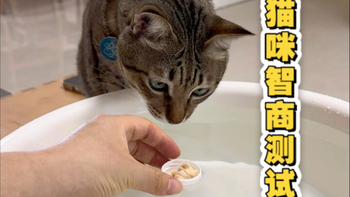 一测一个不吱声