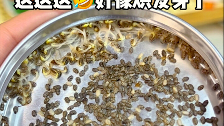 ها هي الحلقة التالية عن تجفيف المشروبات بالمجفف! 🤣 خمنوا ما الذي يتبقى بعد التجفيف؟!