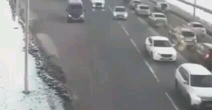 ลูกไม้หล่นไม่ไกลต้น