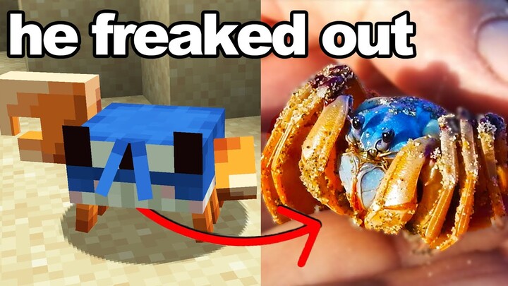 I Got My Brother His Minecraft Crab in Real Life