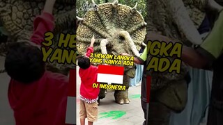 3 Hewan Langka yang hanya ada di indonesia (nomer 3 bikin kita sedih) #shorts