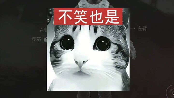 "ที่หัวเราะคือการให้"