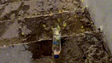 Cuộc thi lăn chai trên cầu thang