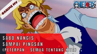 ONE PIECE - SABO NANGIS AMPE PINGSAN (PETERPAN - SEMUA TENTANG KITA) #ONE PIECE[AMV]