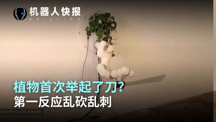 Khi loài cây lần đầu tiên giương dao lên, chúng điên cuồng chém chọc bừa bãi!