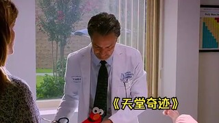 真实故事改编，奇迹也许不会出现，但爱一直都在！《天堂奇迹》