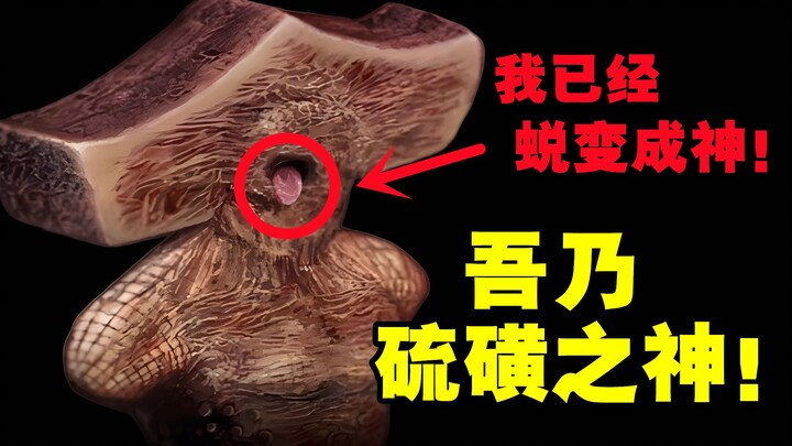 This lust for slaughter has transformed me from a mortal body into a god! — [Fear and Hunger 2: Term