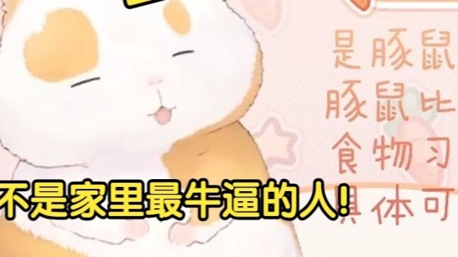 Hua Ling to the cat: Is mom the most powerful person in the family? Answer me! [Hua Ling Video 2]