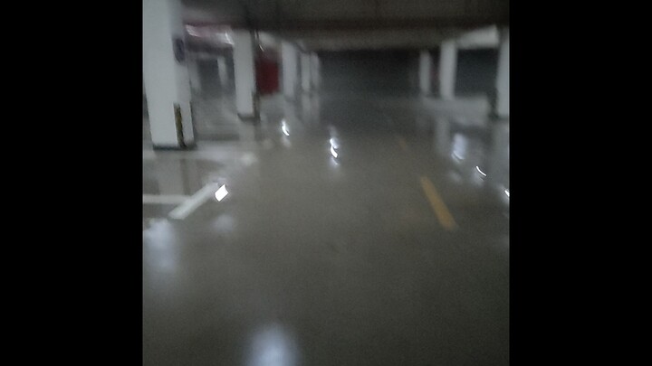 The BYD school hired a backroom renovation company to fix the basement.