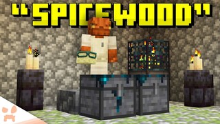 The OTHER Minecraft 1.21 Leaks...
