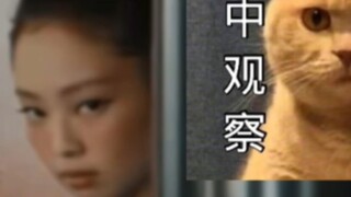 【Jennie】表情包女王再次来袭