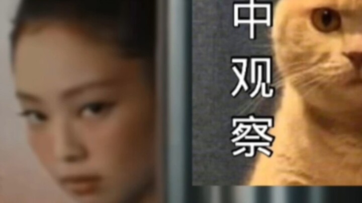【Jennie】表情包女王再次来袭