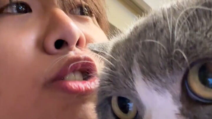 Guess why cats hate dogs!