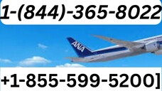 SpirSpirit Airlines Customer Service | Complete Guide to Live Chat, Email & Calls Support Step-by-St