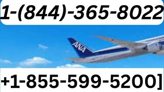 SpirSpirit Airlines Customer Service | Complete Guide to Live Chat, Email & Calls Support Step-by-St