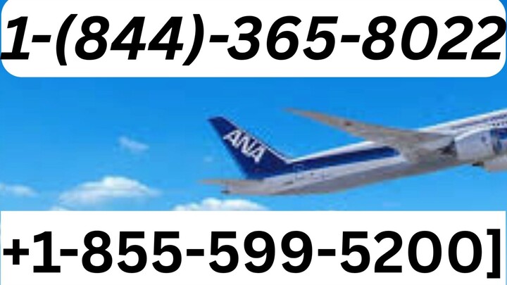 SpirSpirit Airlines Customer Service | Complete Guide to Live Chat, Email & Calls Support Step-by-St