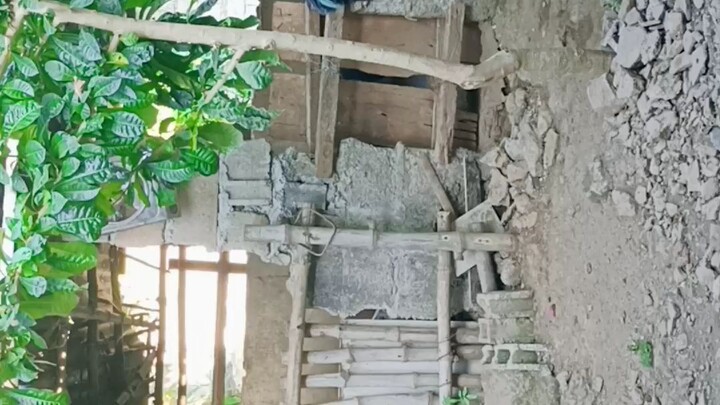 father&son, syempre mas masmagaling parin ang tatay😅🐓