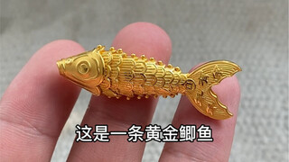 一条真正意义上的小金鱼