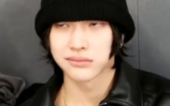 เมื่อนำแมวมาทำงานจะเกิดอะไรขึ้น?