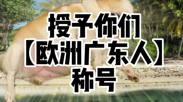 Du học Iceland: Đầu bếp Lưu Tử trổ tài nấu món Trung Quốc, “hành hạ” người châu Âu