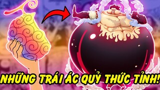 Những Trái Ác Quỷ Đã Thức Tỉnh trong One Piece