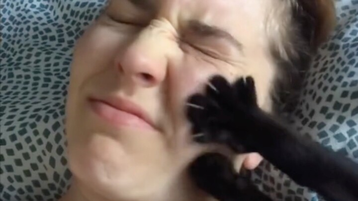 Tempat Kucingmu Memilih Tidur Bisa Ungkap Hubungan Antara Kamu Berdua?