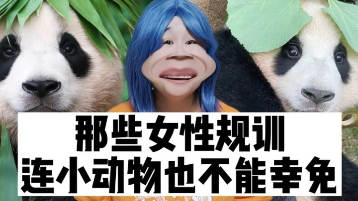 Những quy tắc hà khắc dành cho phụ nữ thậm chí còn không tha cho cả động vật nhỏ.