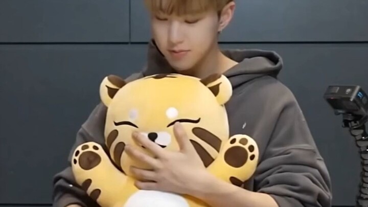 Hoshi has to maintain his tiger persona while also catering to Clara’s love for hamsters.