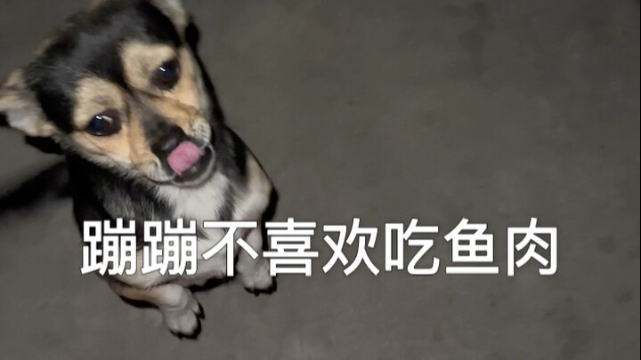 If you can’t change your life, then find joy in the cracks of it! Chaotic vibes!