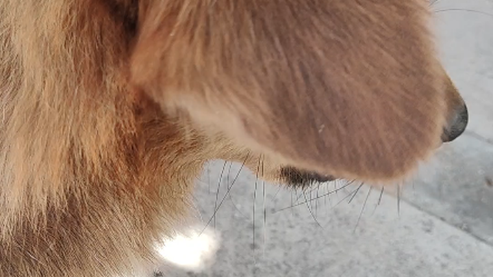 هل تلعب ناروتو؟