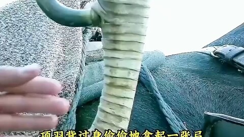 项羽一只箭射穿刘邦，枭雄就是尔虞我诈