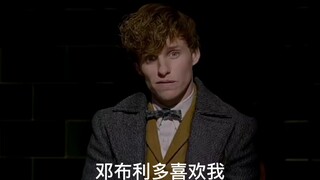 【GGAD】三句话让格林德沃追杀我到天涯海角，关注我 教你更多被追杀小技巧