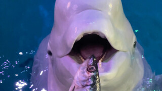 If there's the slightest disagreement, just wait for me to change clothes!