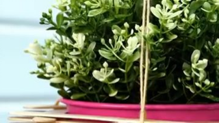 34 MẸO VẶT CẦN PHẢI BIẾT CHO KHU VƯỜN CỦA BẠN
