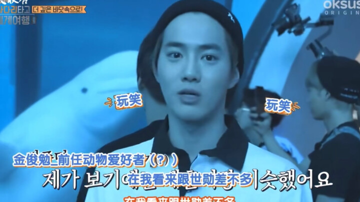 คิมจุนมยอน: โลมาฉลาดมาก ดูเหมือน อูซึงฮุน เลยนะ แล้วภาพก็ตัดไปที่อูซึงฮุน กำลังทำหน้าล้อเลียน แลบลิ้