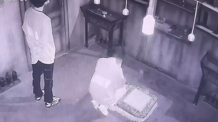 May mà có camera giám sát, nếu không thì giải thích cũng không rõ ràng được.