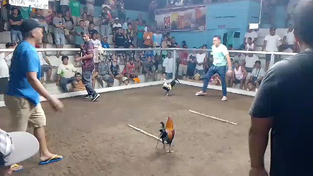 Win(grey) dobol champ @tula2 grande cockpit