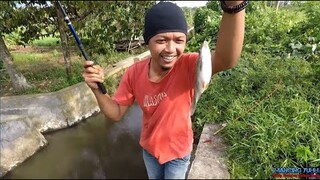 KUMPULAN STRIKE MANCING (Di Buang Sayang)