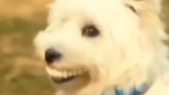 This expression is hilarious!