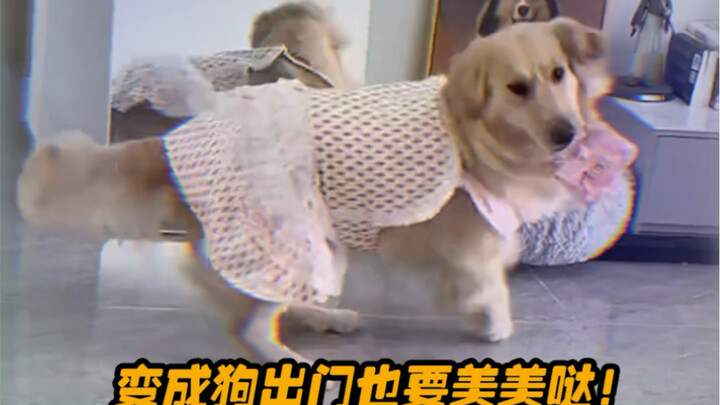 Hewan: Baru saja terlahir dan masih belum terlalu akrab dengan tubuh ini.