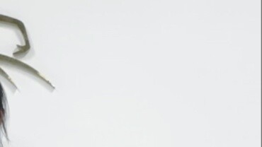 【Balet Dewasa】Saya mencoba sesuatu yang baru