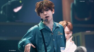 【Bian Baekhyun】190427 Flower Day Baekhyun Focus Come and see our Xianer dance