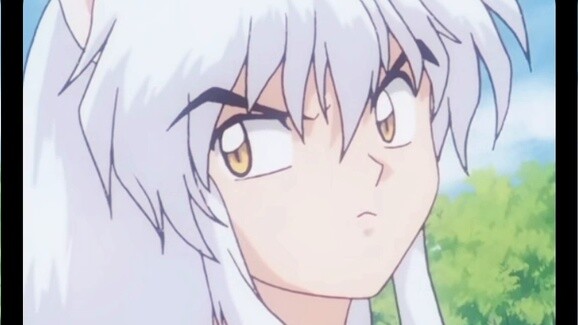 Đã đến giờ chó: gia đình chó năm con siêu đẹp, nếu đi ngang qua đừng bỏ lỡ