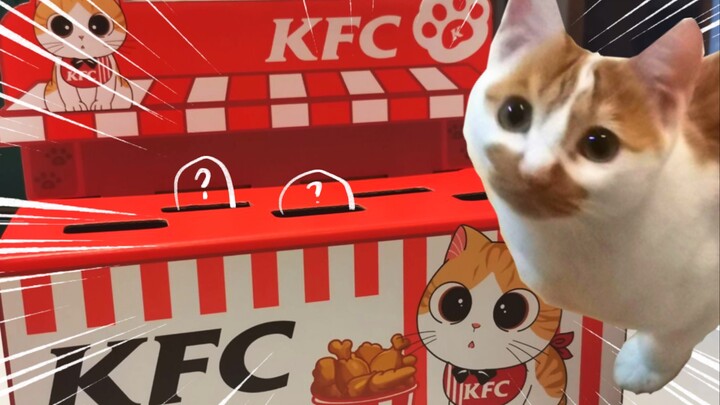 Real Cat Tries Out the KFC Gift Cat Toy!