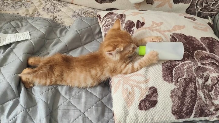 Bayi manis yang minum susu sendiri
