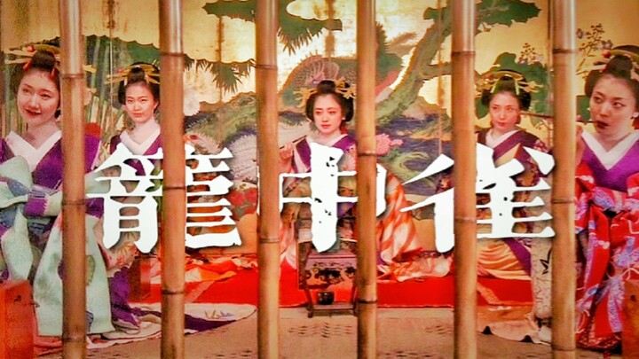 【笼中雀】情欲踩点|她是破碎的洋娃娃，濒死的玫瑰
