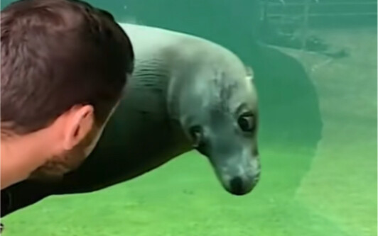 What are you looking at?