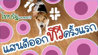 โลกของแสนดี ตอน แสนดีออกข่าวไทยรัฐ!!