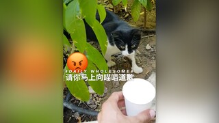 Please apologize to Miao Miao right now!